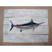 cadre poisson des tropiques cap vert marlin bleu cadr37