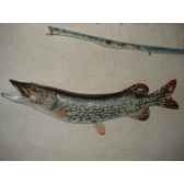 trophee poisson d eau douce cap vert brochet trdf04