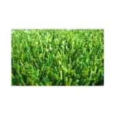 gazon synthetique gardengrass avec remplissage nice