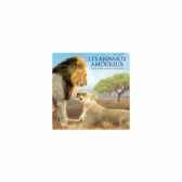 cd les animaux amoureux vox terrae 17109850