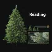 sapin de noe270 cm professionnereading sapin vert