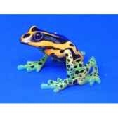 figurine grenouille dendrobates quinquevittatus bf12