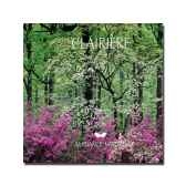 cd clairiere ambiance nature