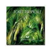 cd foret tropicale ambiance nature