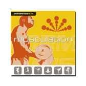 cd musculation new cover performance music