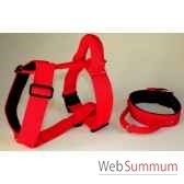 collier sangle d intervention doublee feutre 50mm 60 90 cm sellerie canine vendeenne 81295