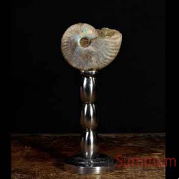 Ammonite nacrée Objet de Curiosité -FO005
