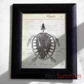 tableau squelette tortue objet de curiosite ta035