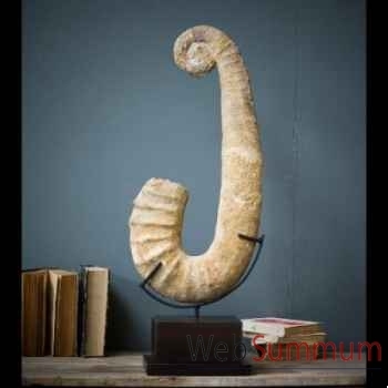Ammonite déroulée Objet de Curiosité -PUFO033-1