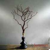 manzanita sur socle objet de curiosite ve009