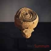 stromatolithe simple objet de curiosite fo015
