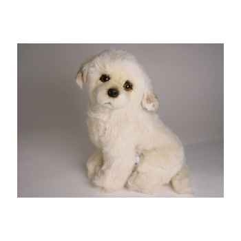 Peluche assise berger de Maremme 35 cm Piutre -3216