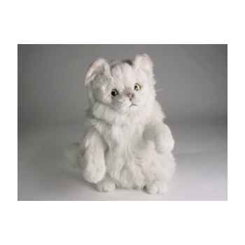 Peluche chat persan chinchilla blanc réclamant 30 cm Piutre -2304