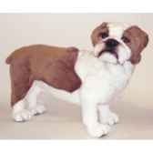 peluche debout english buldog 62 cm piutre 2270