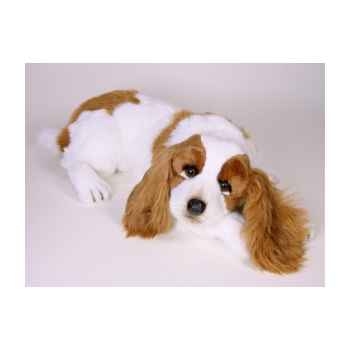 Peluche allongée Epagneul cavalier king charles 55 cm Piutre -1291