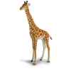 Peluche Steiff Girafe studio mohair debout-502309