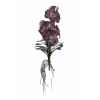Tina vanda orchidee +blad 43cm Louis Maes -80296.613