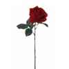 Rose 48cm Louis Maes -06176.525
