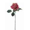 Rose 48cm Louis Maes -06176.699