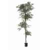 Ficus topiary vert Louis Maes -40104.210