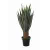 Agave x34 en pot 105cm Louis Maes -40123.605