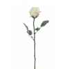 Rose ouverte alice Louis Maes -05580.406