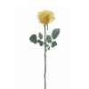 Rose ouverte alice Louis Maes -05580.475