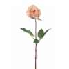 Rose 70cm Louis Maes -06021.452