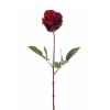 Rose 70cm Louis Maes -06021.649