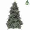 Sapin de noel delux abies nordmannh230d160 forest blue tips 3203 -NF -389608