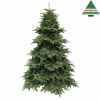 Arbre d.noel delux abies nordmannh200d142 vert f. tips 2091 -390516