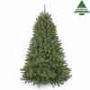 Arbre d.noel forest fr.pine h215d140 vert tips 1248 -790015