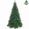 Arbre d.noel tuscan spruce h260d152vert tips 1508 -792017