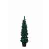 Sapin 2d dans pot 90 cm Everlands -NF -680518