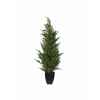 Mini sapin conifere 60 cm Everlands -NF -685092