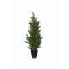 Mini sapin conifere 90 cm Everlands -NF -685094