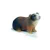 Figurine Schleich - Le cochon d'inde - 14417