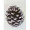 Bougie pomme de pin 9,5cm blanc/marron Peha -CL-10475