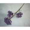 Pique 97cm fleurs violet Peha -TR-22655