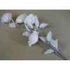 Pique fleurs 110cm blanc Peha -TR-36015