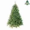 X-mas tree forest fr.pine h185d130 blue tips 942 Edelman -388486