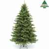 X-mas tree delux sherwood spruce h425d239 green tips 8724 Edelman -389092