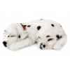 Dalmatien Perfect Petzzz -65422