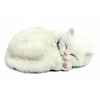 Chat blanc Perfect Petzzz -65434