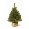 Sapin new noble spruce tree in gold cloth bag h61cm Van der Gucht -31NNB2GD