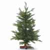 Sapin tacoma table pe tree wooden base h60cm Van der Gucht -31TAC60