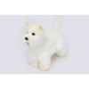 Chien Westie Anima -6307