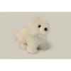 Chien Bichon Anima -6317