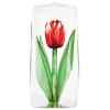 Tulip , rouge Mats Jonasson -33874