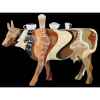 Figurine Vache coffee & cream 15cm Art in the City 80830